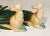 Vintage Kangaroo Rosemeade Salt Pepper Pottery Shakers. From North Dakota Rosemeade Pottery are two darling Kangaroo...