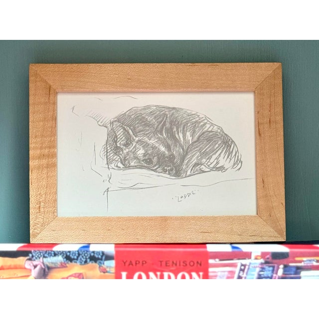 Illustration Framed Lucy Dawson Vintage Pencil Sketch Bulldog Print For Sale - Image 3 of 6