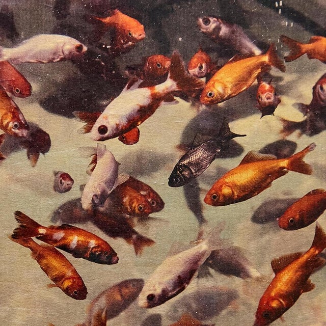 Albarran & Cabrera, Image of Fish, Photograph with Gold Leaf on Japanese Paper, 2013, Framed For Sale - Image 7 of 11