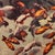 Albarran & Cabrera, Image of Fish, Photograph with Gold Leaf on Japanese Paper, 2013, Framed For Sale - Image 7 of 11