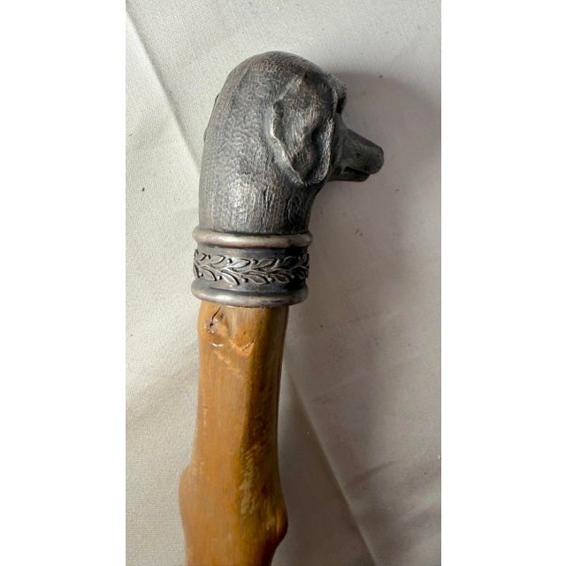 Antique 19th Century Handmade 800 Sterling Silver Wood Dog Walking Stick Cane For Sale - Image 15 of 18