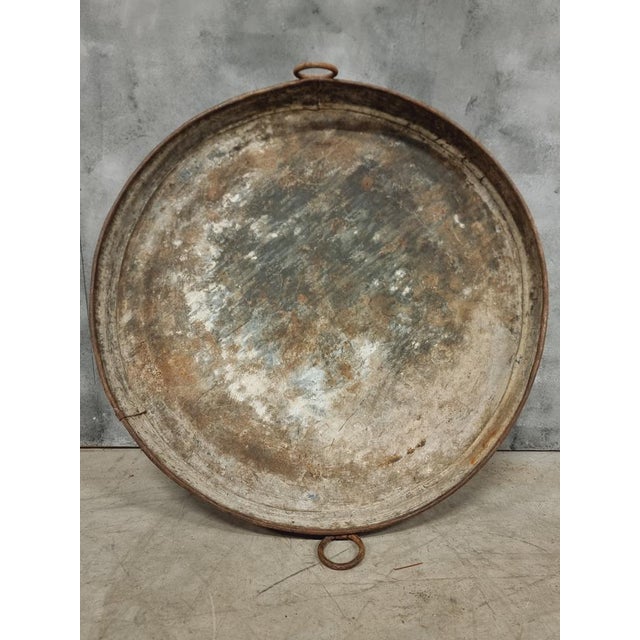 Large Zinc Plate Grape Tray, 1890s For Sale - Image 6 of 11