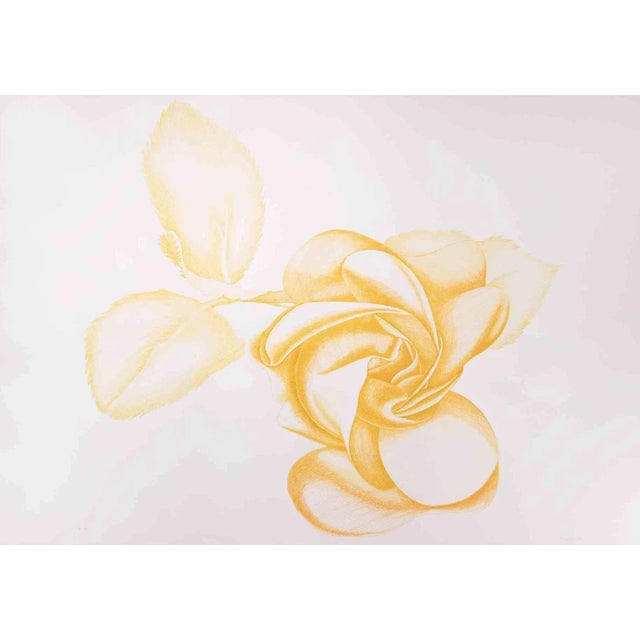 Yellow Rose is an original modern artwork realized by the Italian artist Giacomo Porzano (1925-2006) in 1972 Mixed colored...