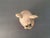 1980s Vintage Porcelain Resting Koala Figurine For Sale - Image 5 of 9