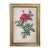 Illustration Rosa Gallica Pontiana Bridge Rose Vintage Color Illustration Reproduction Print Behind Glass in Gold Frame For Sale - Image 3 of 3