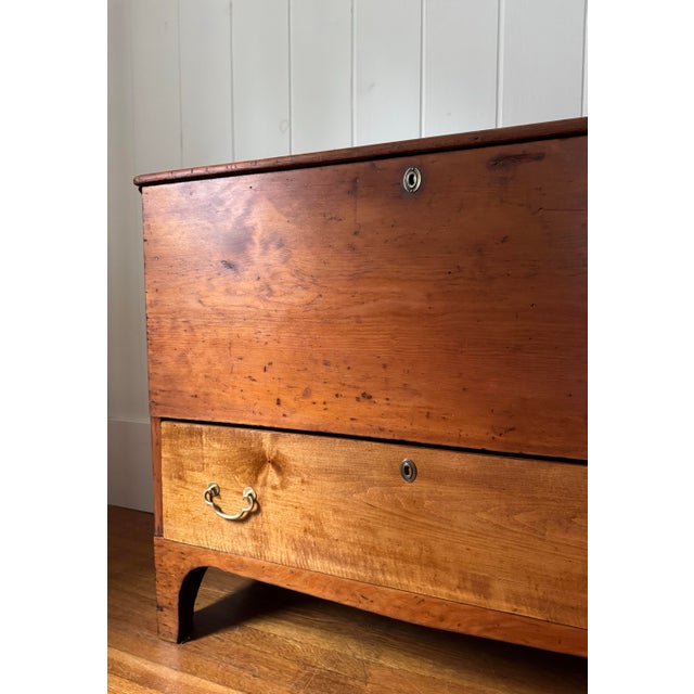American 19th Century Early American Mule Chest For Sale - Image 3 of 11