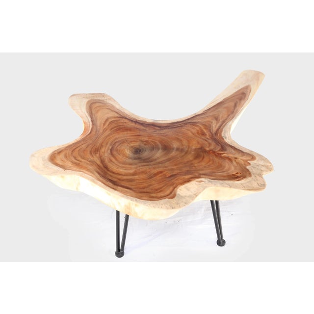 2020s One Slab Living Edge Coffee Table With Black Iron Legs 49 For Sale - Image 5 of 6