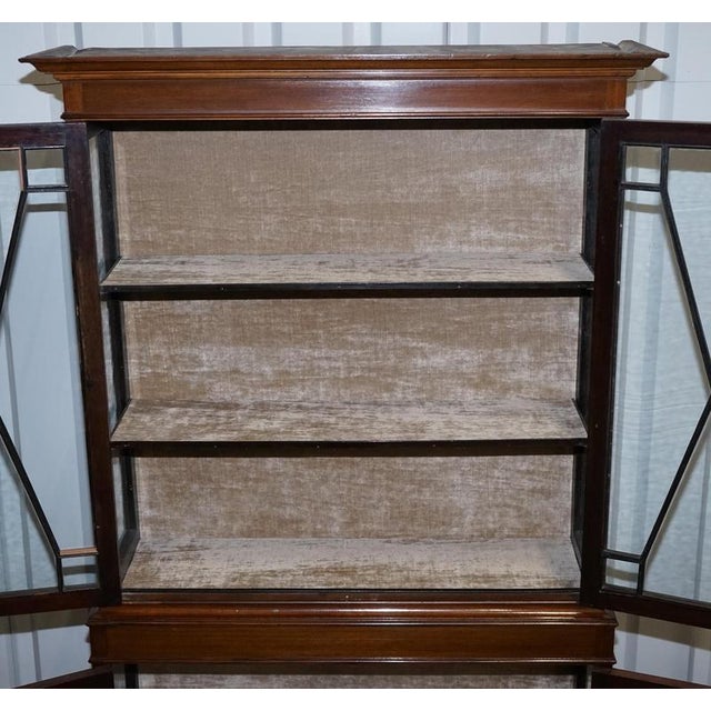English 19th Centry Glazed Display Curio Cabinet with Fixed Shelves For Sale - Image 10 of 18