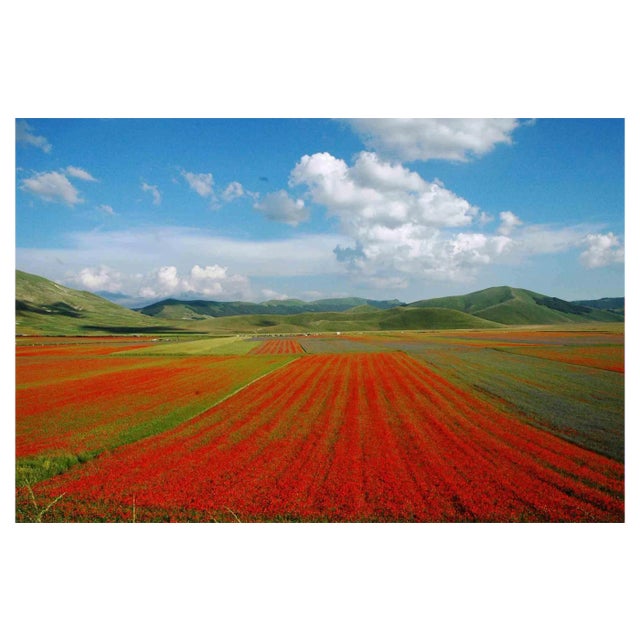 Giuseppe Marani, Red Slopes, Original Photograph, 2010s For Sale