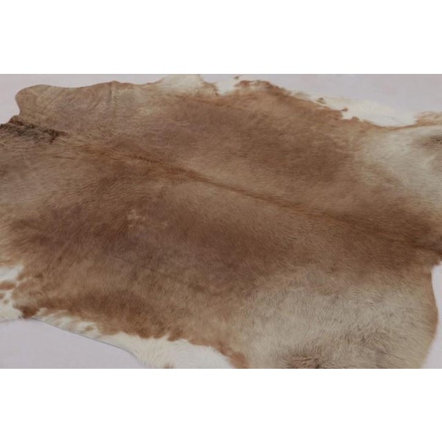 This handmade 7x7 contemporary cowhide rug from Rug & Kilim represents an exciting new collection of rare large-size...