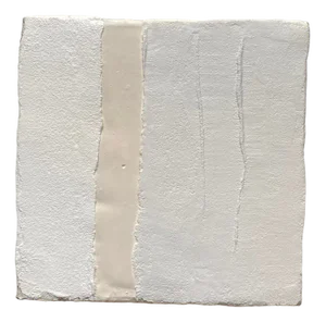 Gilbert Pauli, Série Naissance et deuil No. 10, 2009, Acrylic & Plaster
