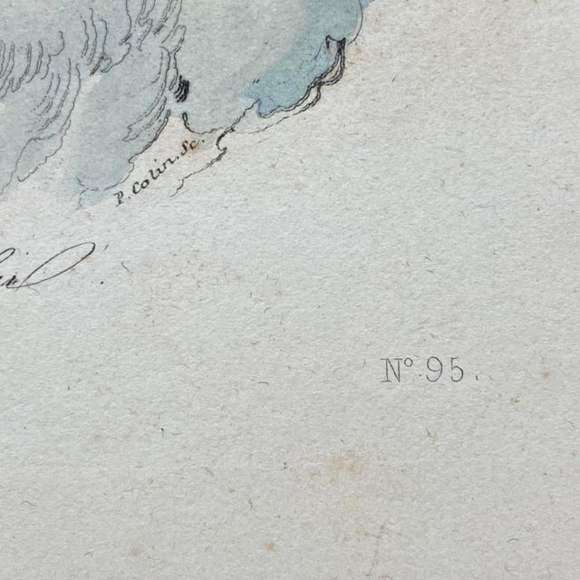 French Antique 18th Century "Le Griffon" Bird Engraving Hand Colored Signed Artwork For Sale - Image 10 of 11