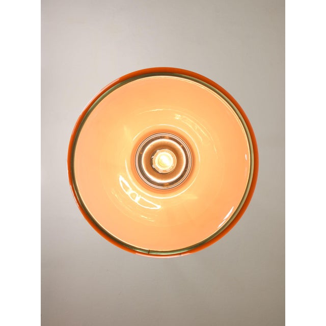 Plastic Space Age Cabras Pendant Lamp by Luigi Massoni for Guzzini, 1960s For Sale - Image 7 of 14