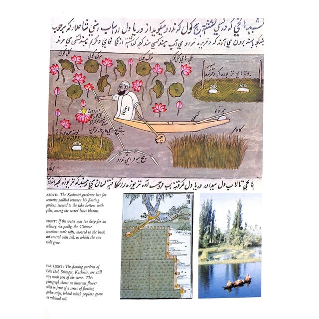 White "An Illustrated History of Gardening" 1978 Huxley, Anthony For Sale - Image 8 of 12