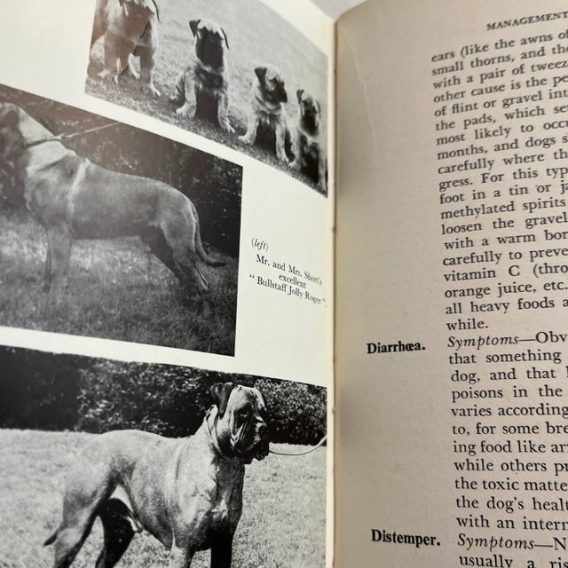 1957 The Bull Mastiff Handbook Dog Book For Sale - Image 4 of 9