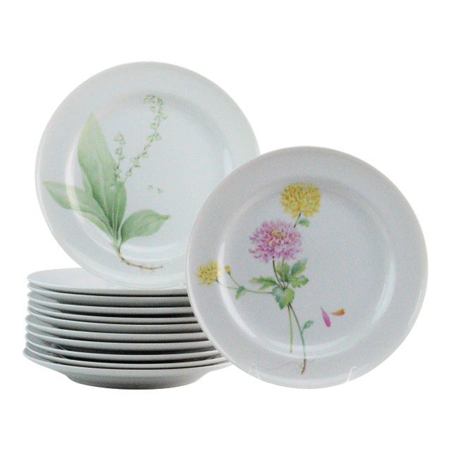 Mikasa Flower of the Month Dinner Plates - Set of 12 For Sale