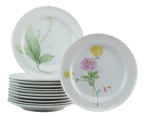 Mikasa Flower of the Month Dinner Plates - Set of 12