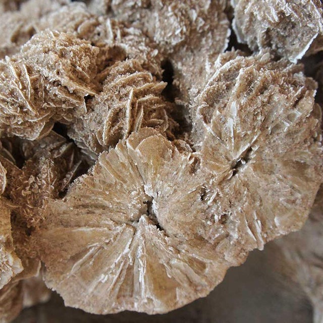 An unusually large scale, selenite gypsum desert rose, ball crystal, cluster rock formation specimen from northern Mexico.