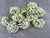 White Green Floral Napkin Ring - Set of 10 For Sale In New York - Image 6 of 16