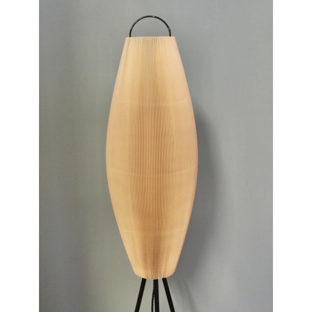 Mid-Century Modern Tripod Floor Lamp in the style of Rispal, 1950s For Sale - Image 3 of 11