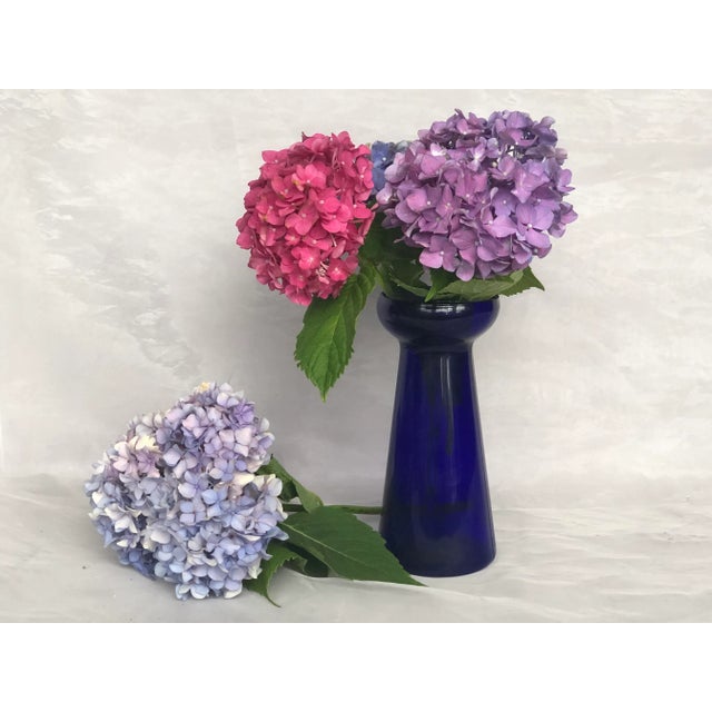 Cobalt Blue Glass Hyacinth Vase For Sale - Image 11 of 11