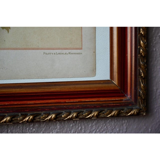 Piloty & Loehle, Godron Bouquet, 1920s, Chromolithograph, Framed For Sale - Image 7 of 10