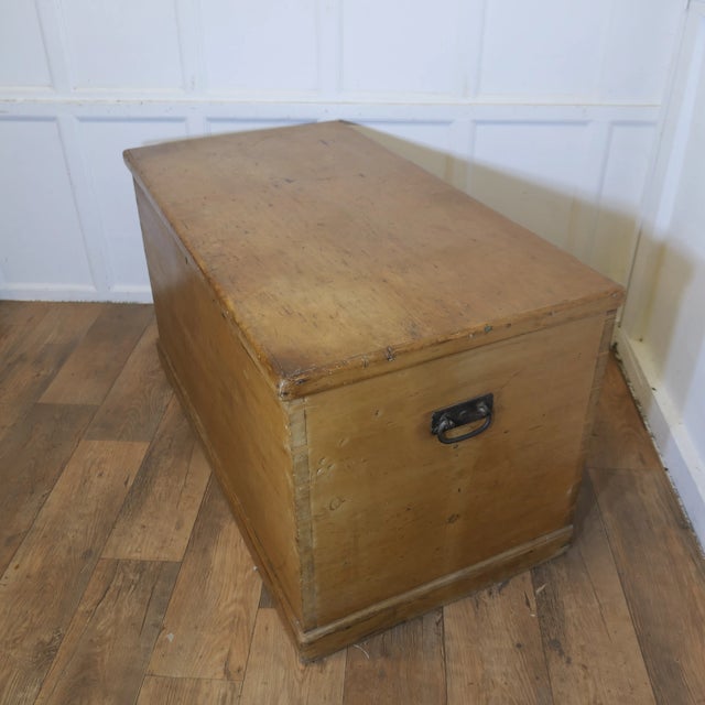 Large Victorian Polished Pine Blanket Box For Sale - Image 5 of 9