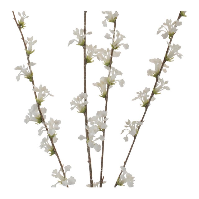 Rustic Blossom Twig Branch (Set of 4) For Sale - Image 3 of 4
