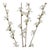 Rustic Blossom Twig Branch (Set of 4) For Sale - Image 3 of 4