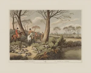 Hare Hunting 1- Giclee Print From British Field Sports