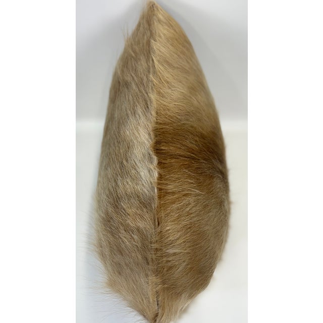 Champagne 18” X 18” Premium Colombian Champagne Long-Haired Cowhide Pillow Cover - Handcrafted by Pablo Sota Designs For Sale - Image 8 of 11