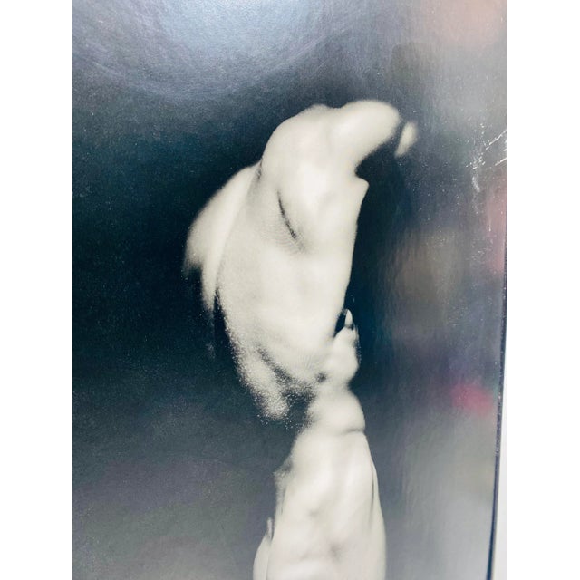 1989 Victor Skrebneski Nude (From the Series: Backs) Framed Poster for the Chicago International Film Festival For Sale - Image 4 of 9