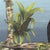 Tropical Toucan Original Painting on Canvas Bird Black Gold Ornate Frame For Sale In Tampa - Image 6 of 9
