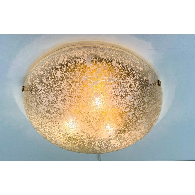 Large Glass Flush Mount Lamp from Hillebrand Lighting, 1960s For Sale - Image 12 of 18