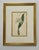 Set of 9 Original 1842 Curtis Botanical Prints in Ornate Gold-Leaf Gesso Matting – Framed For Sale - Image 13 of 15