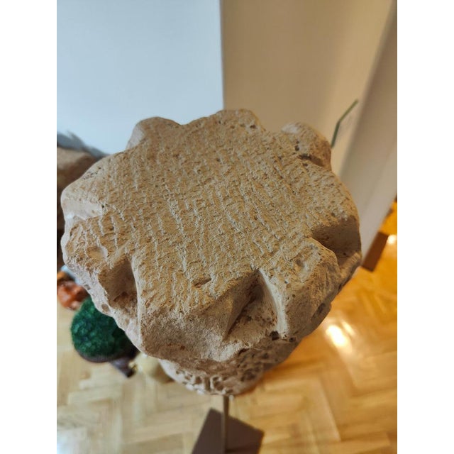 Antique Terracotta Capital in Arabesque Style, 1890 For Sale - Image 6 of 10