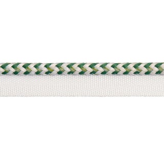 Schumacher Bolander Cord Indoor/Outdoor Trim In Green For Sale