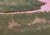 Impressionist Heaven's Blossom by Warren Neary | Oil on board Landscape with pink clouds over a field and river. For Sale - Image 3 of 5