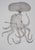 Pierre-Yves Trémois, The Octopus Woman, Original Signed Etching For Sale