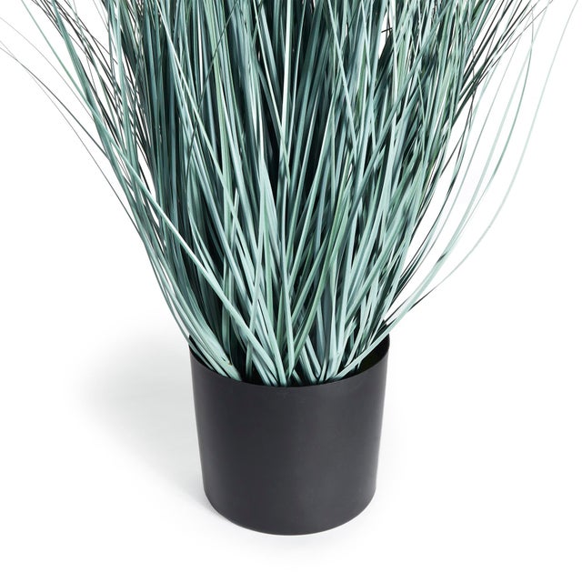 Made to look 100% realistic, this wispy blue oat grass is a natural touch. Drop in to your favorite pot or cachepot and...