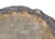 Early 21st Century Petrified Coral Bowl by Xyleia Petrified Wood For Sale - Image 5 of 7