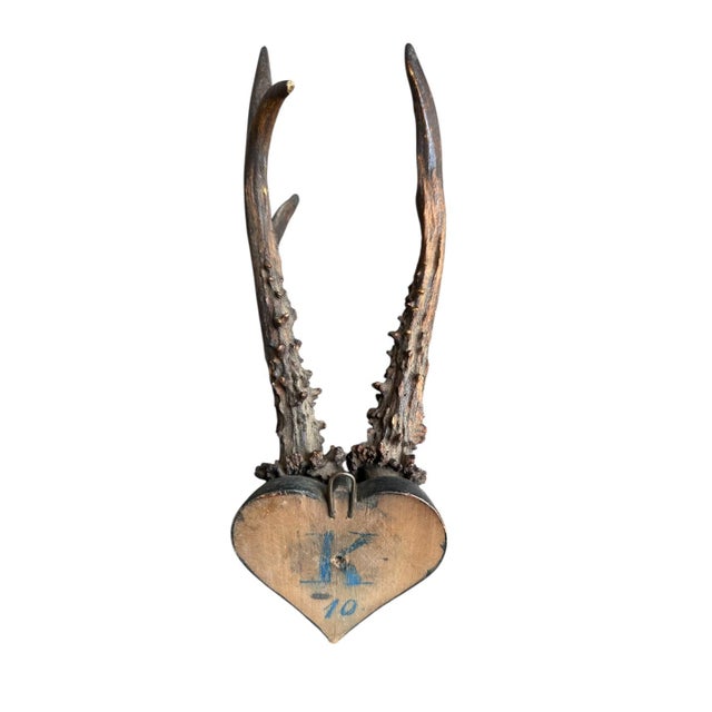 1900 - 1909 Roe Der Trophy 134 Black Forest Antlers on Heart Shaped Plaque For Sale - Image 5 of 5