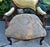 Pair Vtg. French Louis XV Style Carved Walnut Armchairs Gold Damask Chairs For Sale - Image 9 of 18