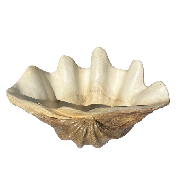 Large Faux Giant Clam Shell Centerpiece Bowl For Sale - Image 14 of 16