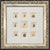 Antique Coastal Seashell Set of 9 | Custom Framed Collection | by Donovan, Circa 1804 For Sale - Image 4 of 5