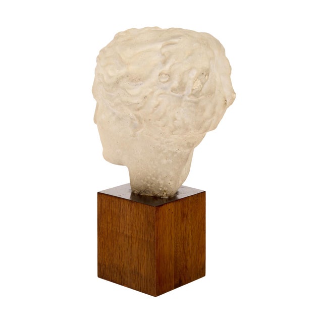 Art Deco Period, French Bust of Hygieia, Wood and Plaster, Circa 1940 For Sale - Image 9 of 9