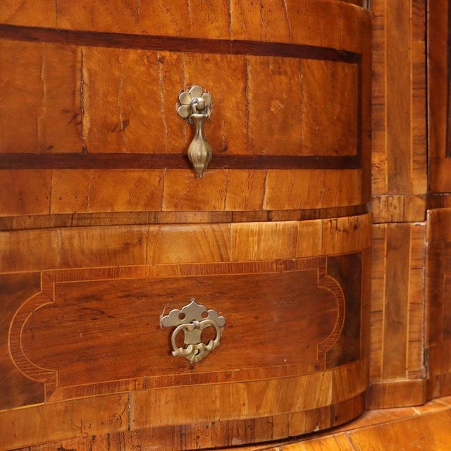 Brown Walnut and Maple Burl Trumeau with Various Wood Trim For Sale - Image 8 of 16
