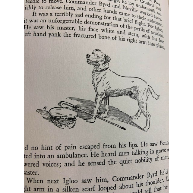 Blue 1931 Vintage Igloo Dog Book For Sale - Image 8 of 13