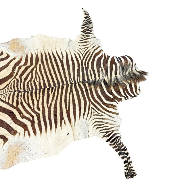 1950s Vintage Zebra Hide Rug, 1950s For Sale - Image 5 of 8