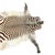 1950s Vintage Zebra Hide Rug, 1950s For Sale - Image 5 of 8